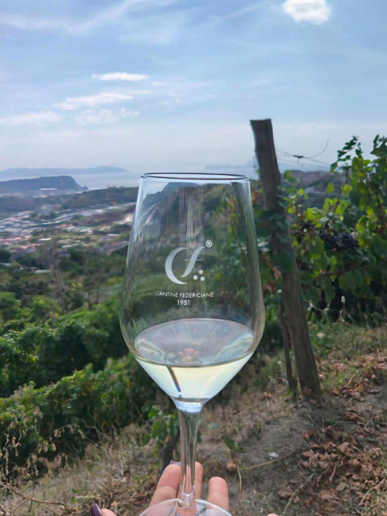 Alle Cantine Federiciane si raccoglie l’anima vulcanica di Vigna Cigliano